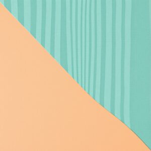 ktera-podlaha-je-pro-vas-idealni-pvc-vinyl-nebo-linoleumjpg