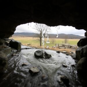 proc-a-jak-mulcovat-pudujpg