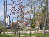 Deset bodů pro dobré řízení obce: od vize k realizaci, dokument ČKA ke komunálním volbám